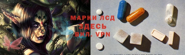 ECSTASY Алзамай