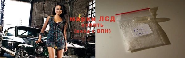ECSTASY Алзамай