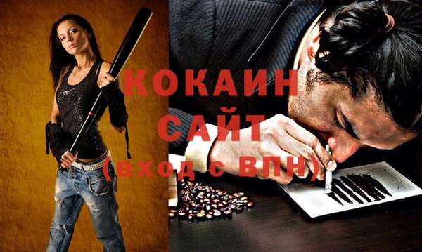молекула духа Алексин