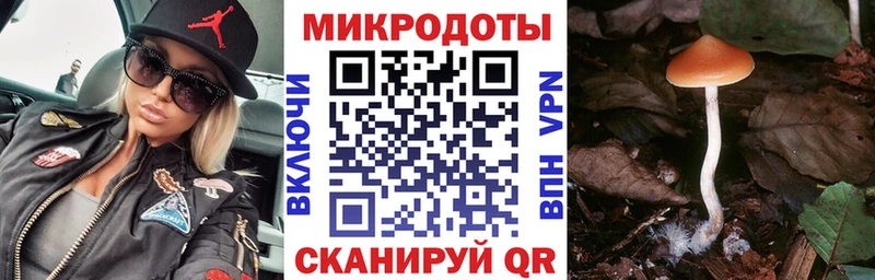 Галлюциногенные грибы GOLDEN TEACHER Шумерля