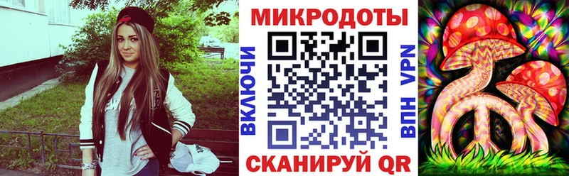 Псилоцибиновые грибы Psilocybe как найти закладки Шумерля