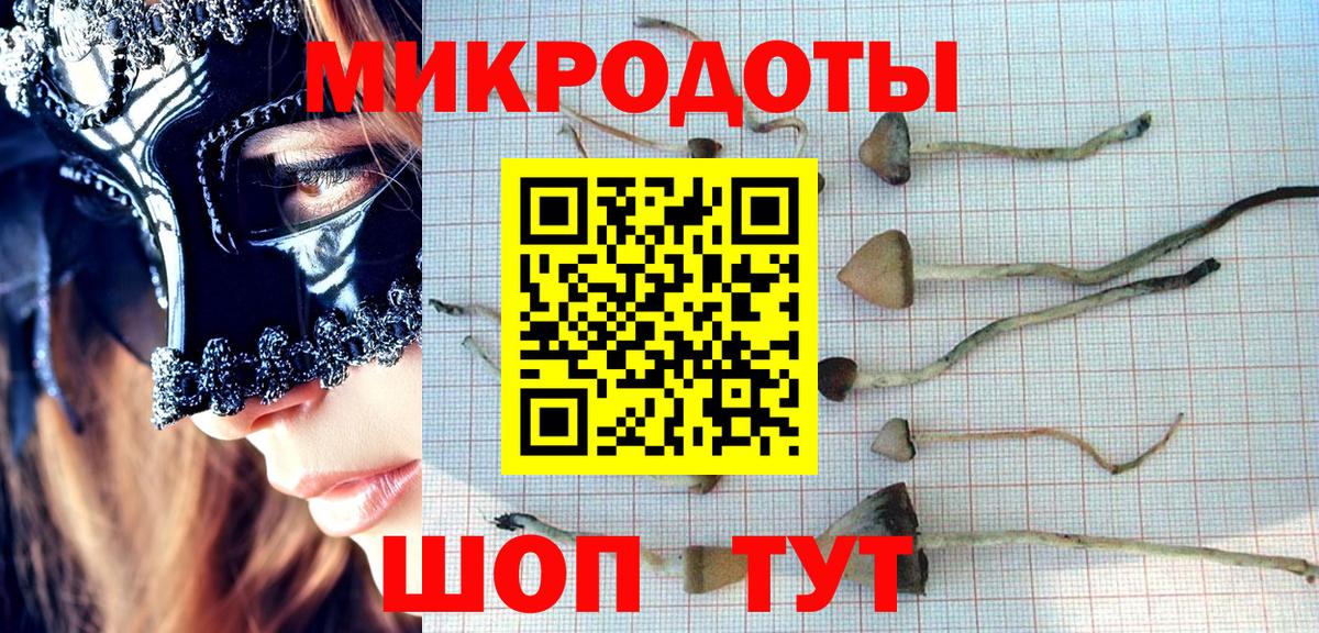 Псилоцибиновые грибы прущие грибы Шумерля