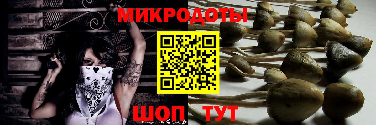 купить закладку  Галлюциногенные грибы MAGIC MUSHROOMS  Вход с VPN  Шумерля 